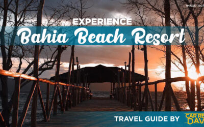 Your Complete Travel Guide to Bahia Beach Resort