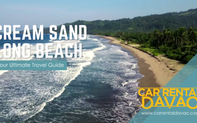 Cream Sand Long Beach: Everything You Need To Know