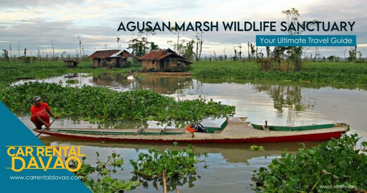 Into the Vast Wetland of Agusan Marsh Wildlife Sanctuary